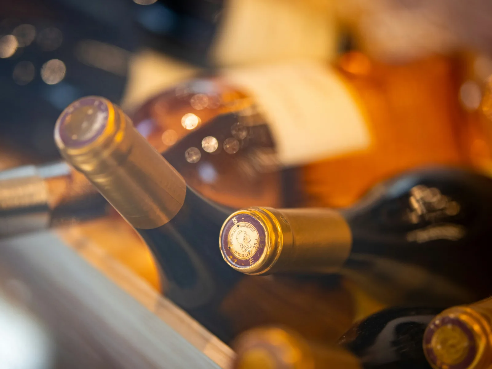 Wine bottles resting on the racks of a temperature-controlled wine cooler